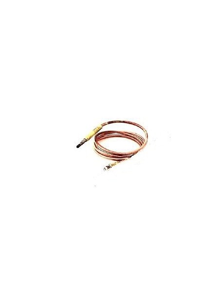 Thermocouple With Interrupter